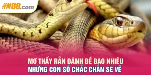 mơ thấy rắn đánh đề bao nhiêu